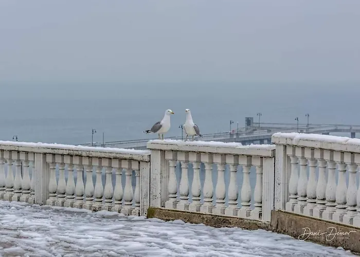кирил и методий 부르가스