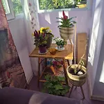 кирил и методий * Burgas
